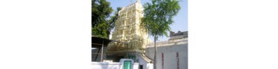 246. திருவல்லம்